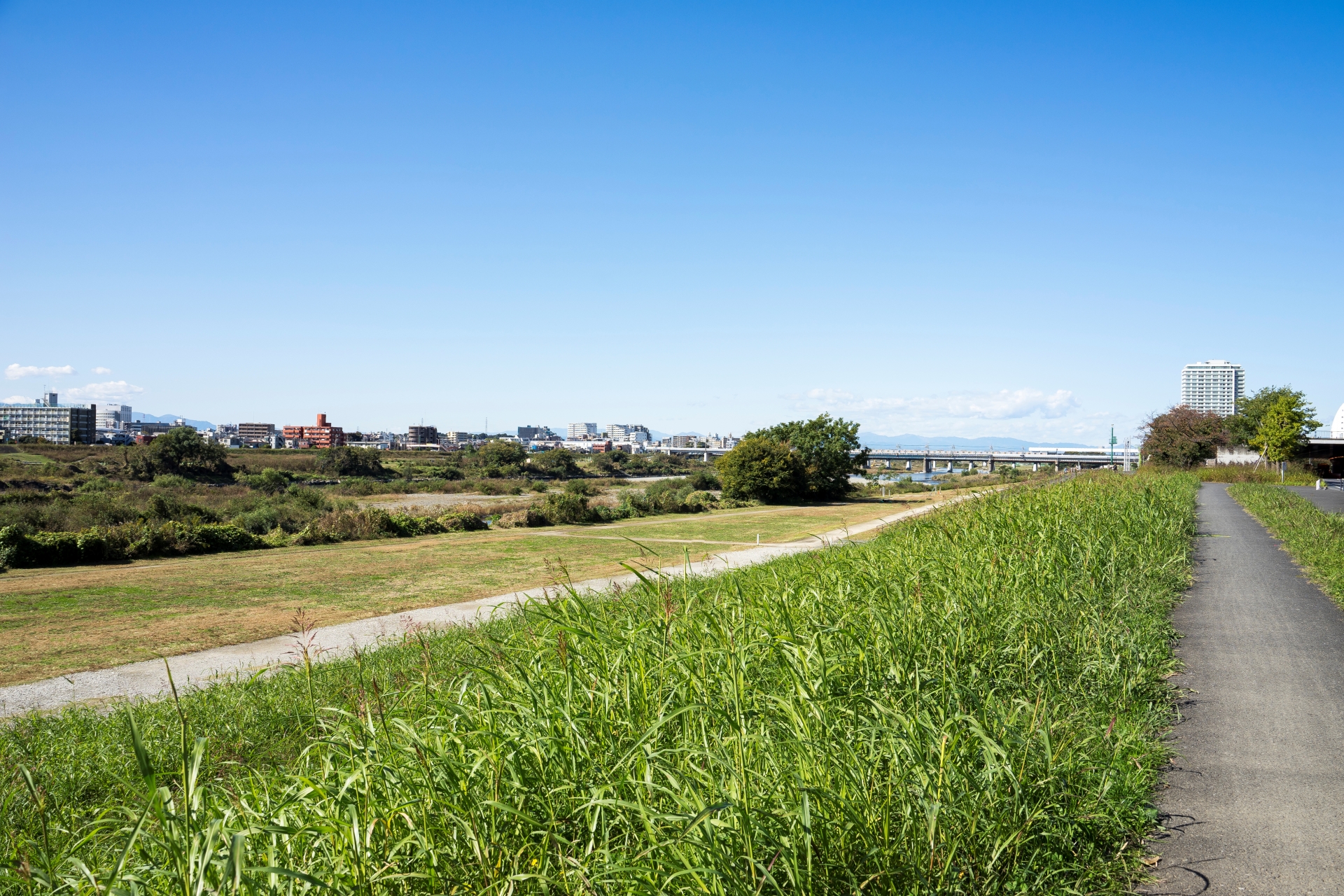 八王子市の河川敷